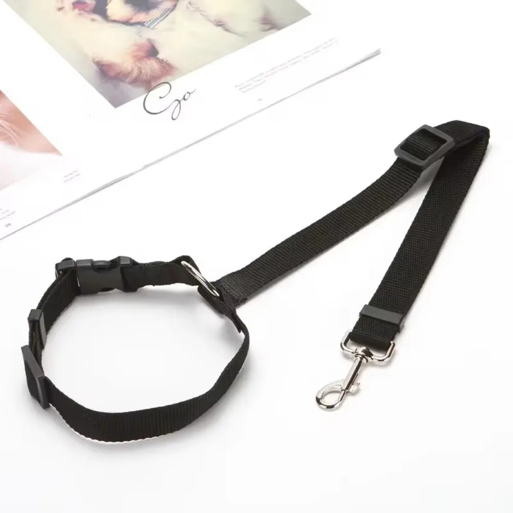 Dog wearing a breakaway nylon comfort harness with integrated car seat belt for safetravel