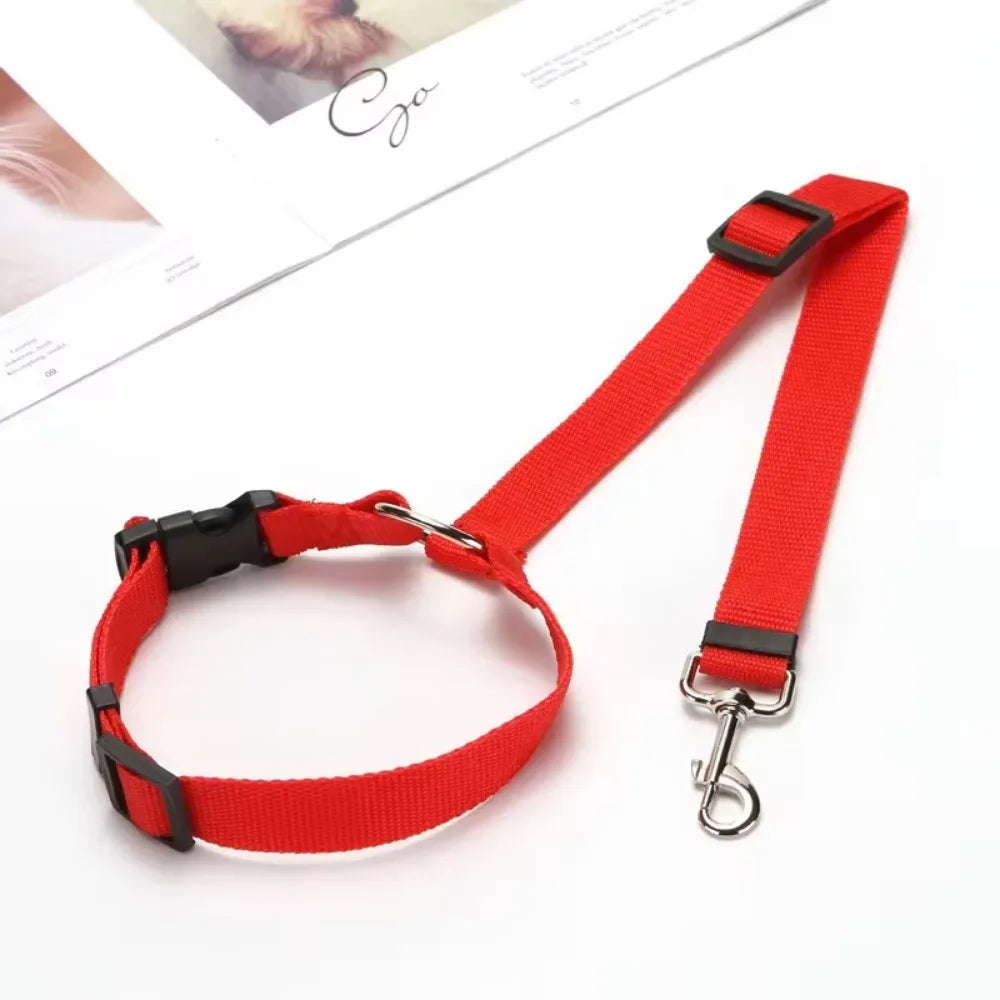 Nylon dog travel gear: pet seat belt and comfort harness securing a dog in a car backseat