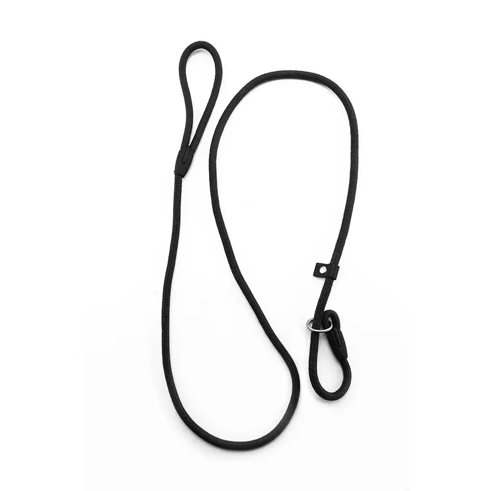 Lightweight blue nylon slip lead for dog walking. An adjustable pet accessory for safe and easy training.