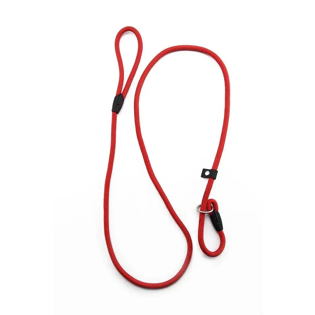 Green adjustable slip leash for dogs, made from eco-friendly nylon, ensuring comfortable and effective training.