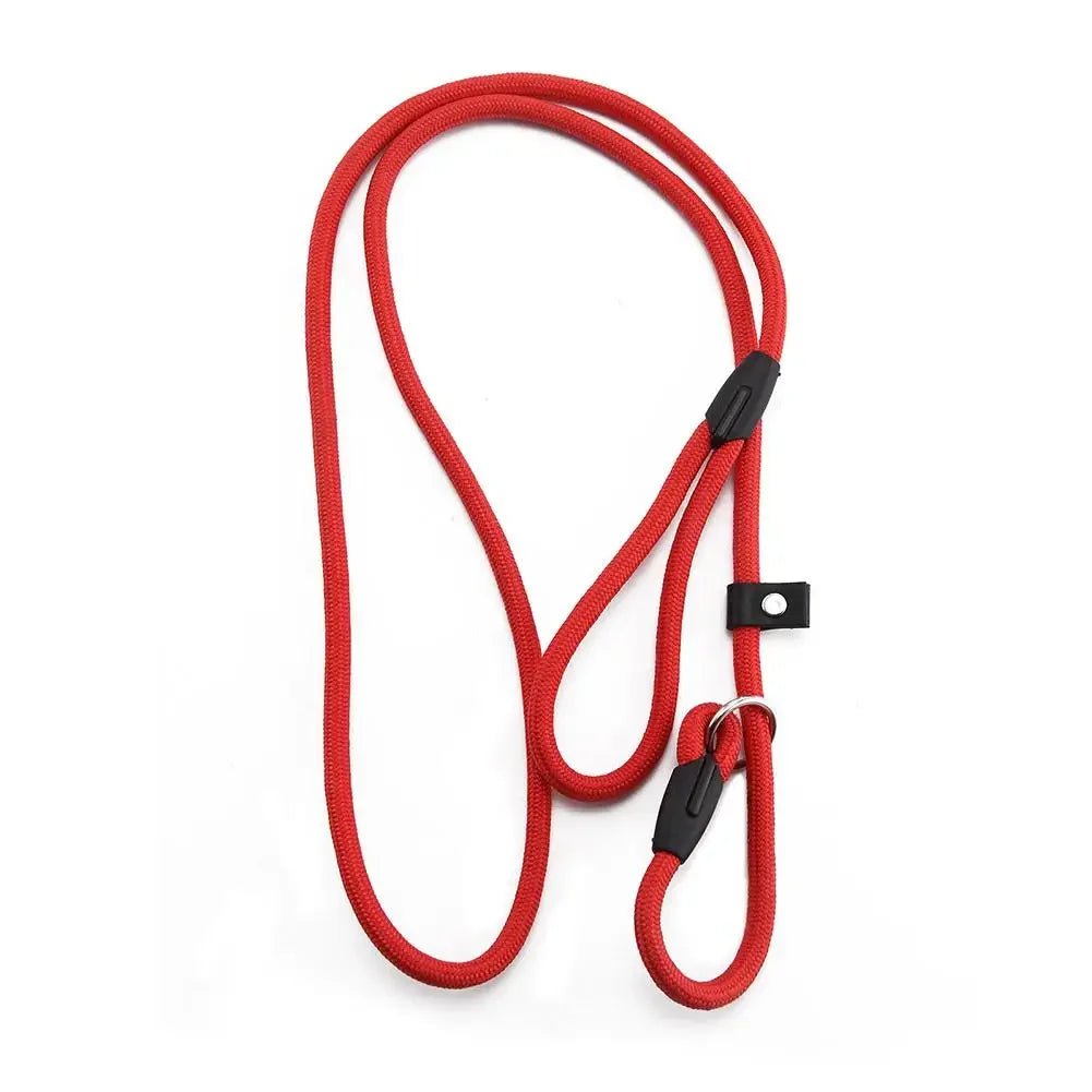 Nylon slip dog leash in a vibrant purple, a lightweight and adjustable pet accessory for training and walking.