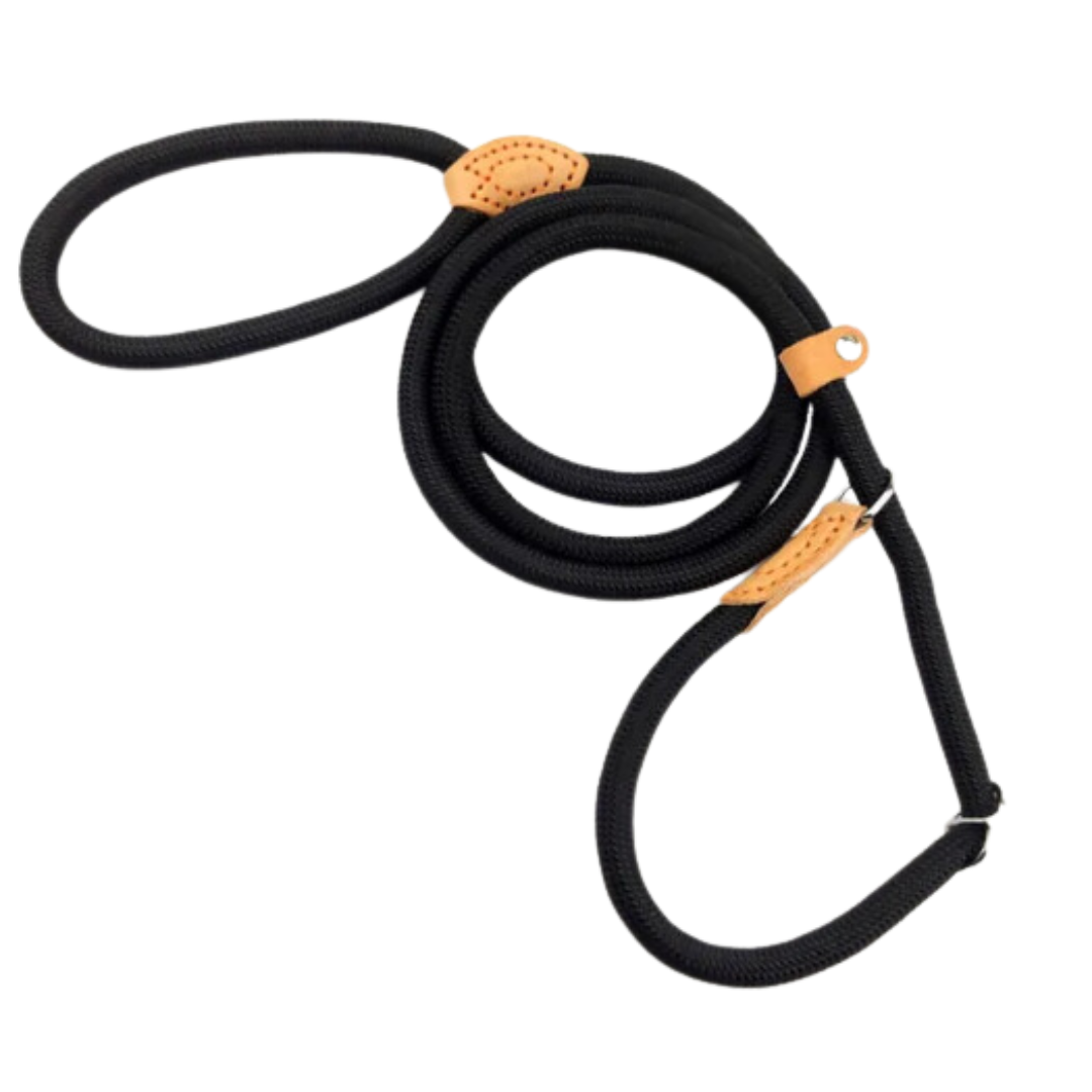 Adjustable black nylon slip lead dog leash for training and walking your pet.