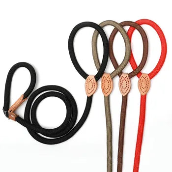 Durable red nylon slip lead dog leash, ideal for dog training and daily use.