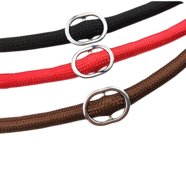 Close-up of the adjustable O-ring on a blue nylon slip lead dog leash.