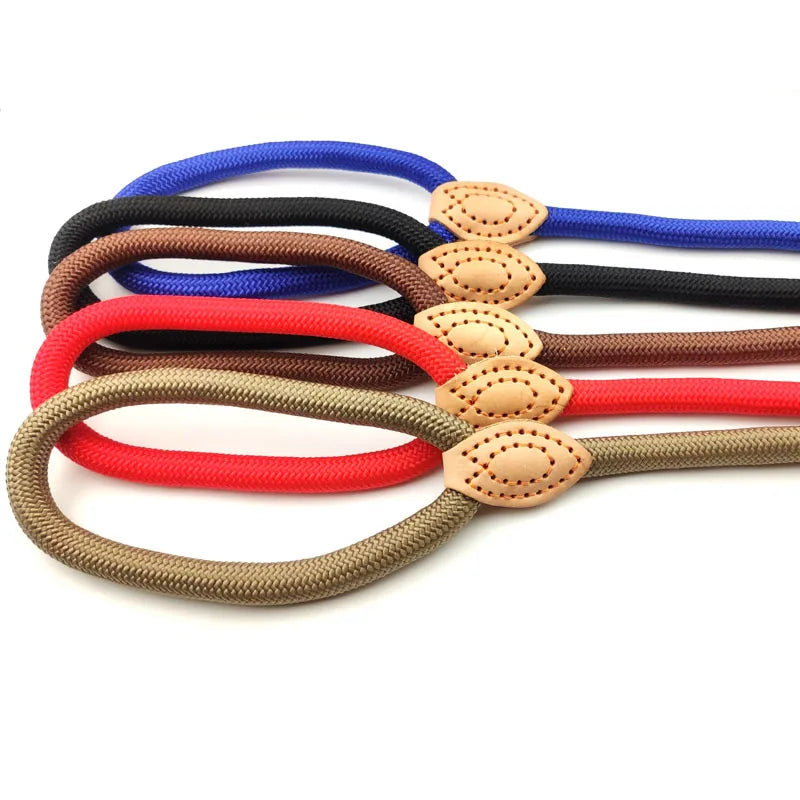 Pet owner using an adjustable nylon slip lead dog leash during a training session.