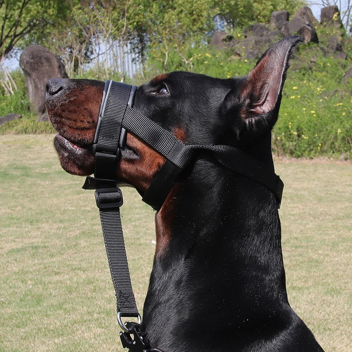 Comfortable antishock leather dog muzzle with reflective trim for safety