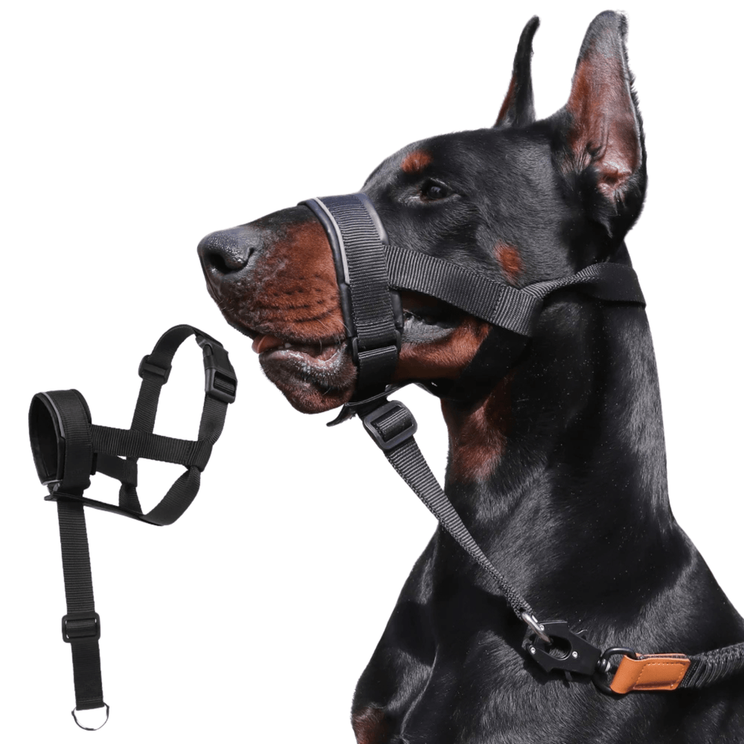 Premium quality adjustable leather dog muzzle ideal for pet training