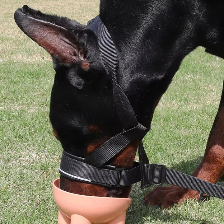 Comfortable black leather dog muzzle, adjustable for a secure fit during pet training & walks.