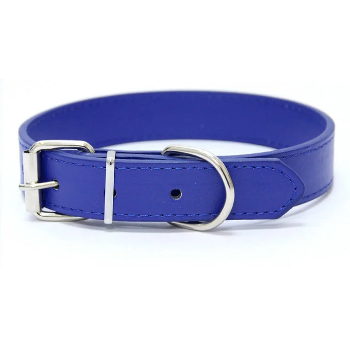 Blue padded leather dog collar, adjustable for a perfect fit, essential dog supply.