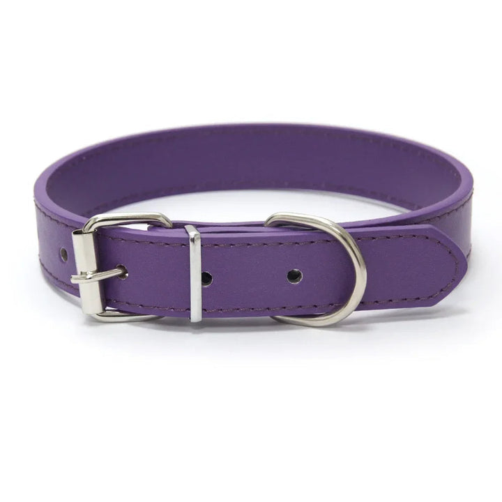 Black solid color padded dog collar, PU leather, adjustable for ultimate pet comfort.