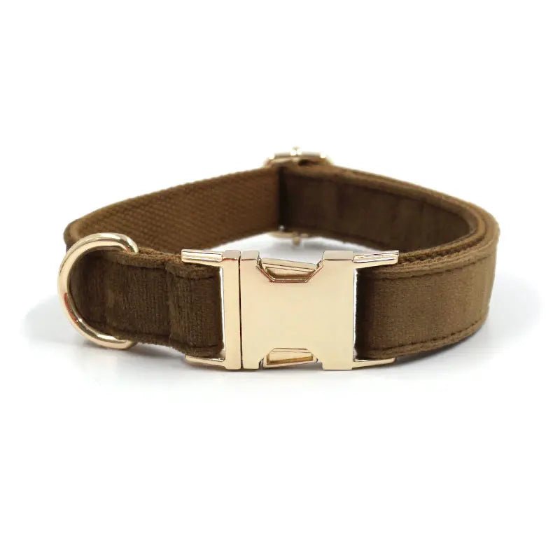 Comfortable suede dog collar with handy poop bag holder, an essential pet accessory for daily walks