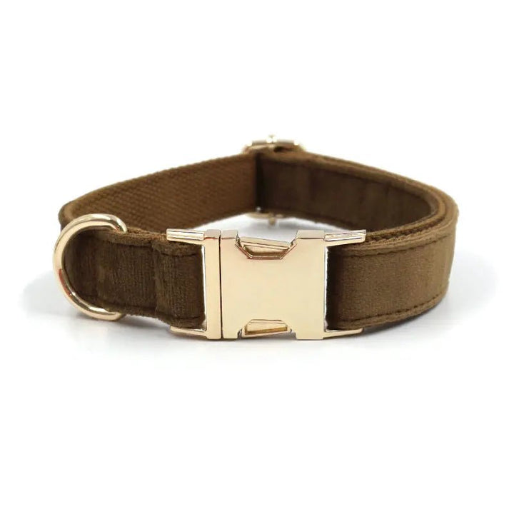 Comfortable suede dog collar with handy poop bag holder, an essential pet accessory for daily walks