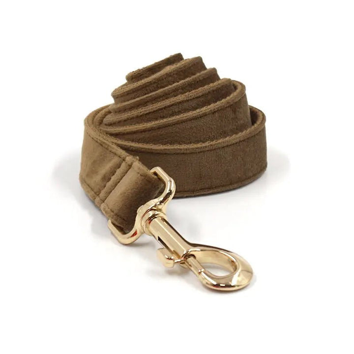 Brown adjustable suede dog collar for dogs, including a convenient poop bag holder for dog walking