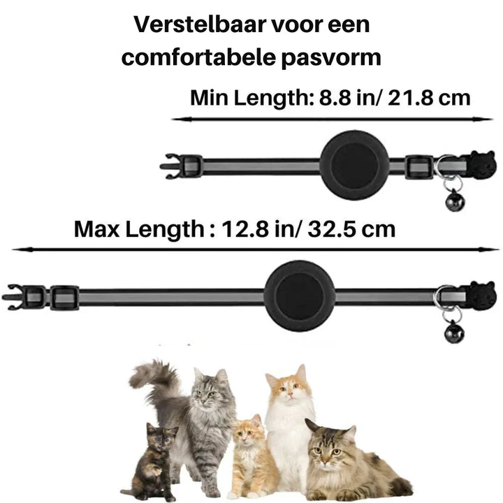 Cat supplies: adjustable purple safety collar with quick release buckle and bell