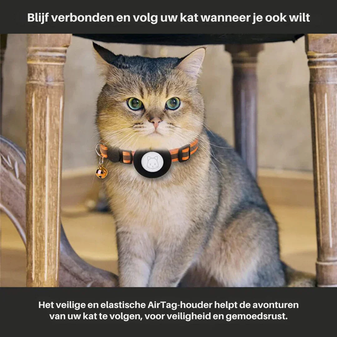Three cat safety collars: blue, red, and green, with quick release buckles