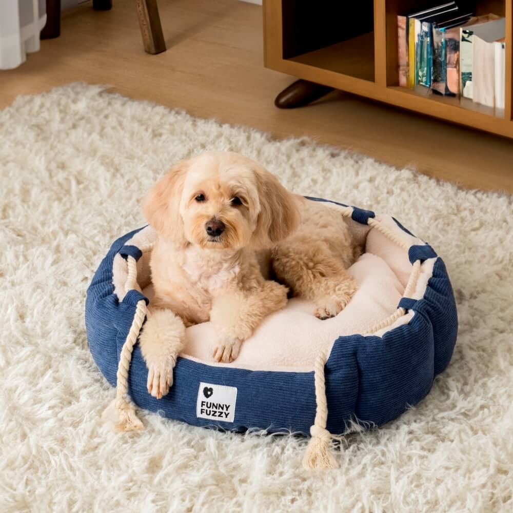 Pet comfort bed: adjustable, chew-resistant design for dogs and cats