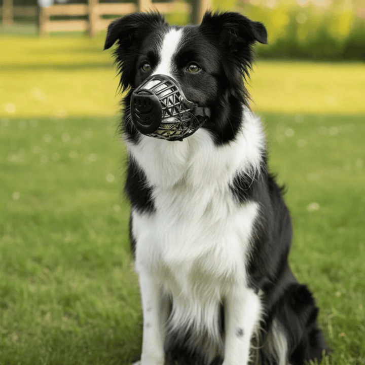 Dog muzzle, adjustable, showcasing breathable basket for comfort during anti-bite training.