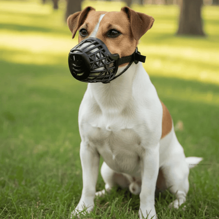 Breathable basket muzzle for dogs, adjustable straps for secure fit, perfect for training and safety.