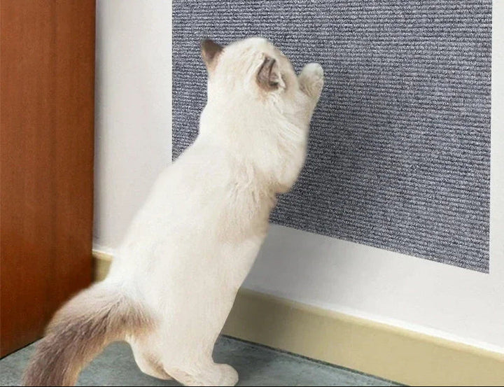 Cat accessories furniture scratch protector, close-up of durable non-woven material
