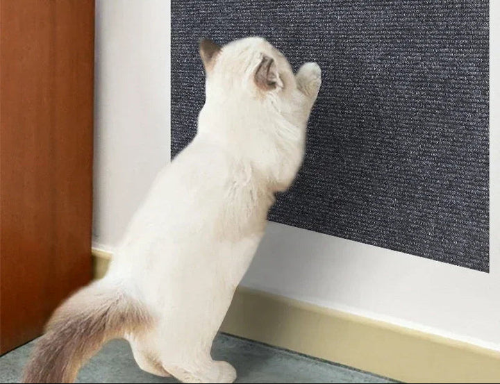 Adjustable pet furniture claw guard, clear vinyl, installed on an upholstered chair