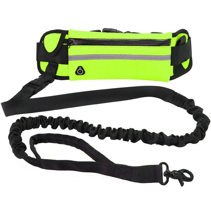 Close-up of adjustable hands-free dog leash on a person's waist with hip bag