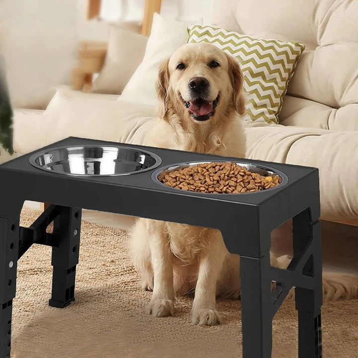 Ergonomic elevated dog bowl stand with removable stainless steel bowls, perfect for all dog sizes.
