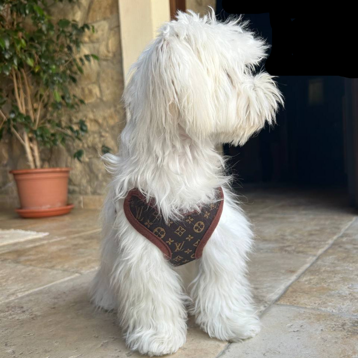 Comfortable dog harness with adjustable straps for no-pull walk control. A premium pet accessory for all dog sizes.