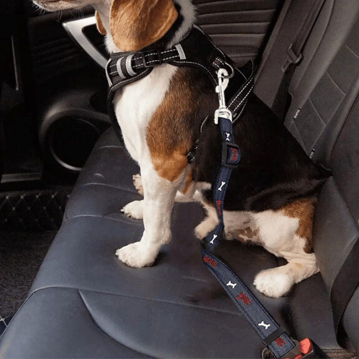 Unisex dog car seat belt, hands-free leash for secure and comfortable pet restraint