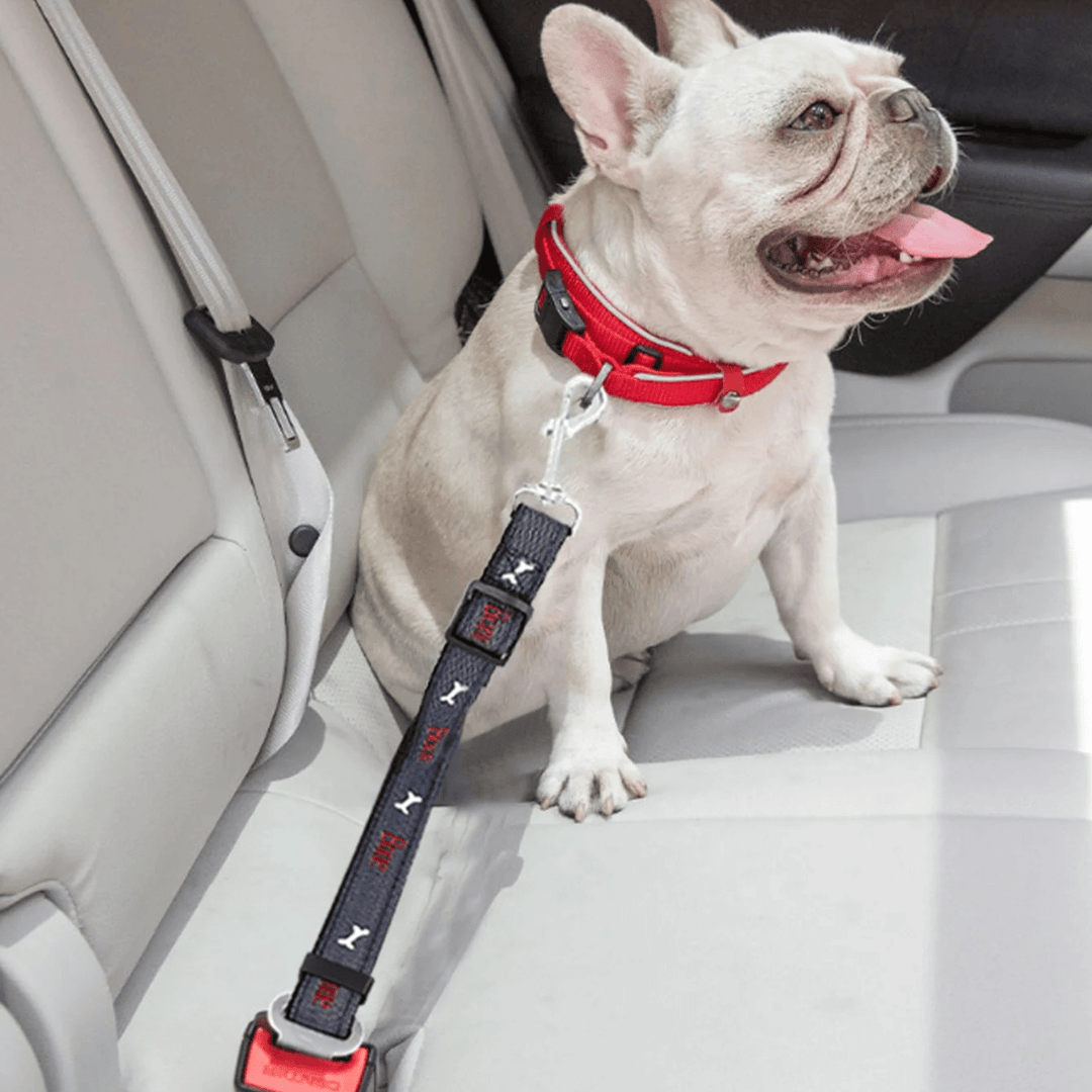 Universal fit pet safety belt for dogs and cats, perfect for safe car travel