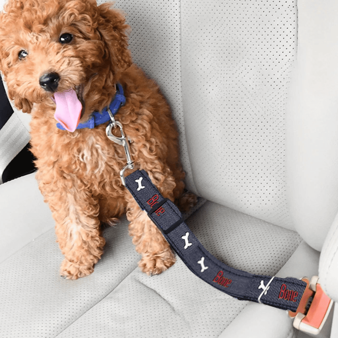 Hands-free dog seat belt, keeps your pet safe and secure in the car, easy to use