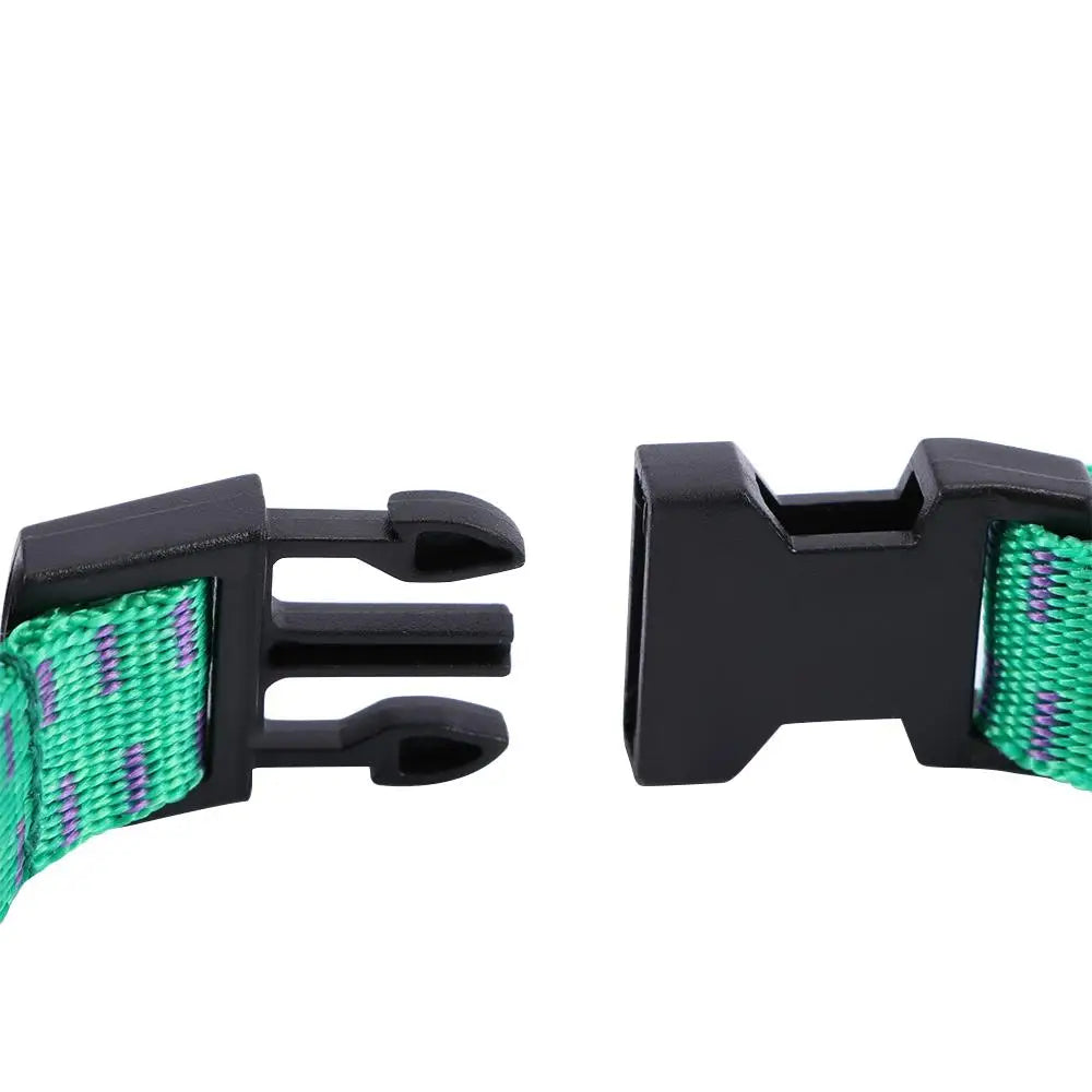 Adjustable safety pet collar for flea & tick control, essential dog & cat protection
