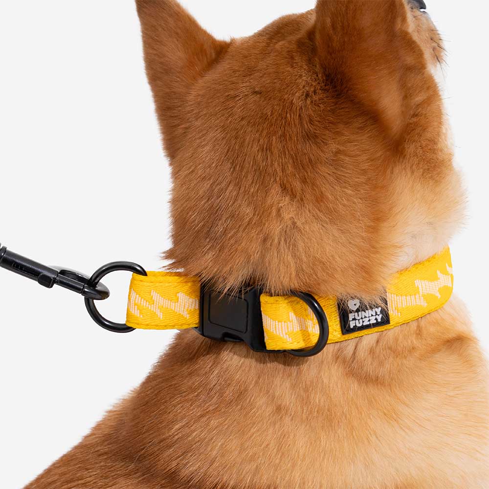 Adjustable nylon reflective dog collar in various colors. Pet accessory assortment.