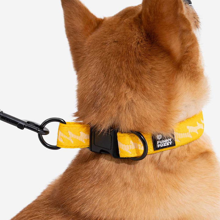 Adjustable nylon reflective dog collar in various colors. Pet accessory assortment.