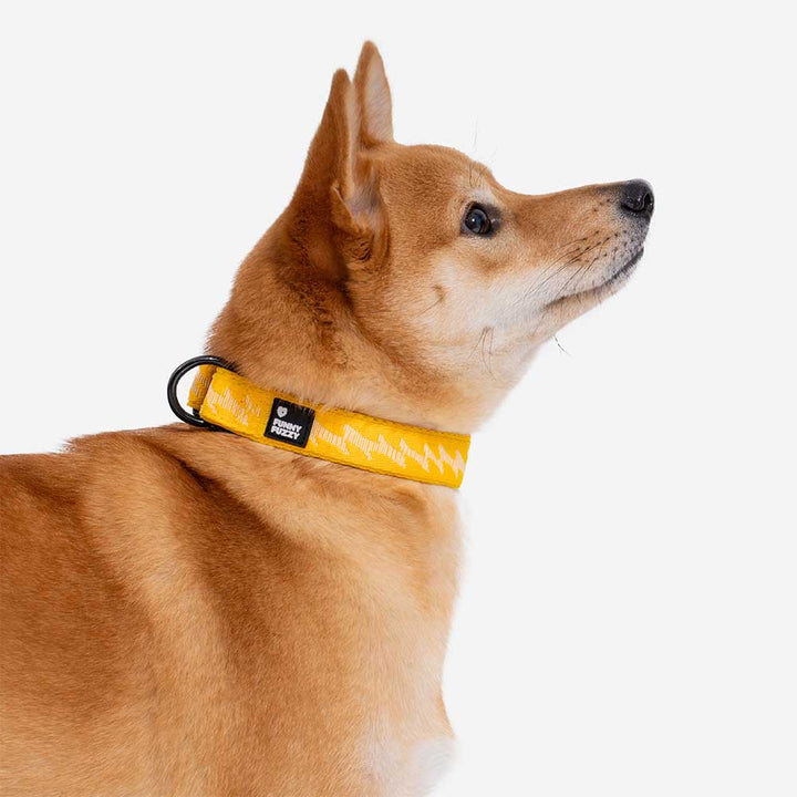 Close-up of the adjustable slide on a nylon reflective dog collar. Perfect fit.
