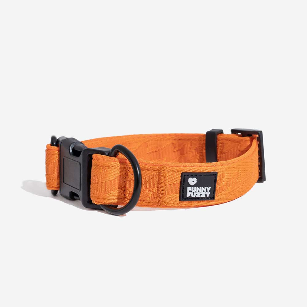 Dog looking happy in an adjustable nylon reflective dog collar. Comfortable pet accessory.