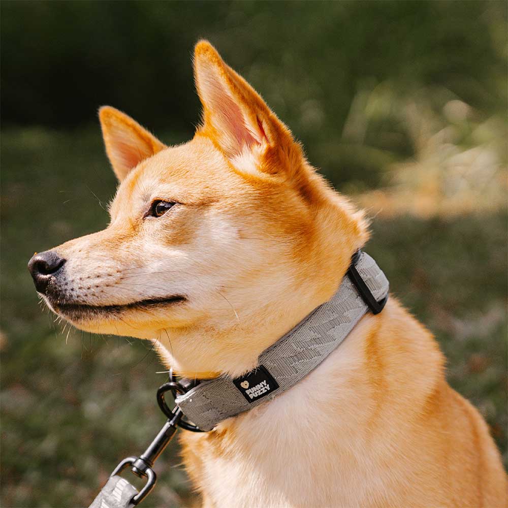 Hand adjusting a nylon reflective dog collar. Easy to use pet accessory.