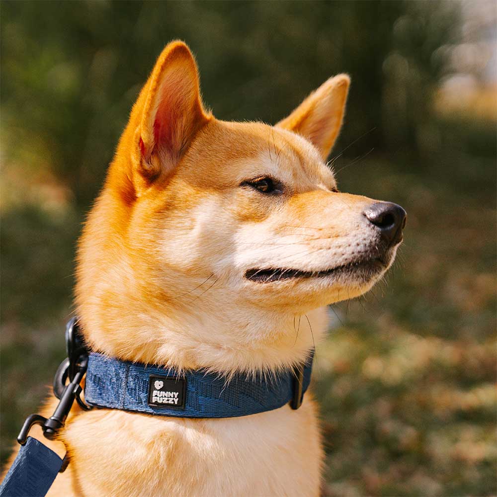 Adjustable nylon reflective dog collar next to hiking boots. Adventure ready pet gear.