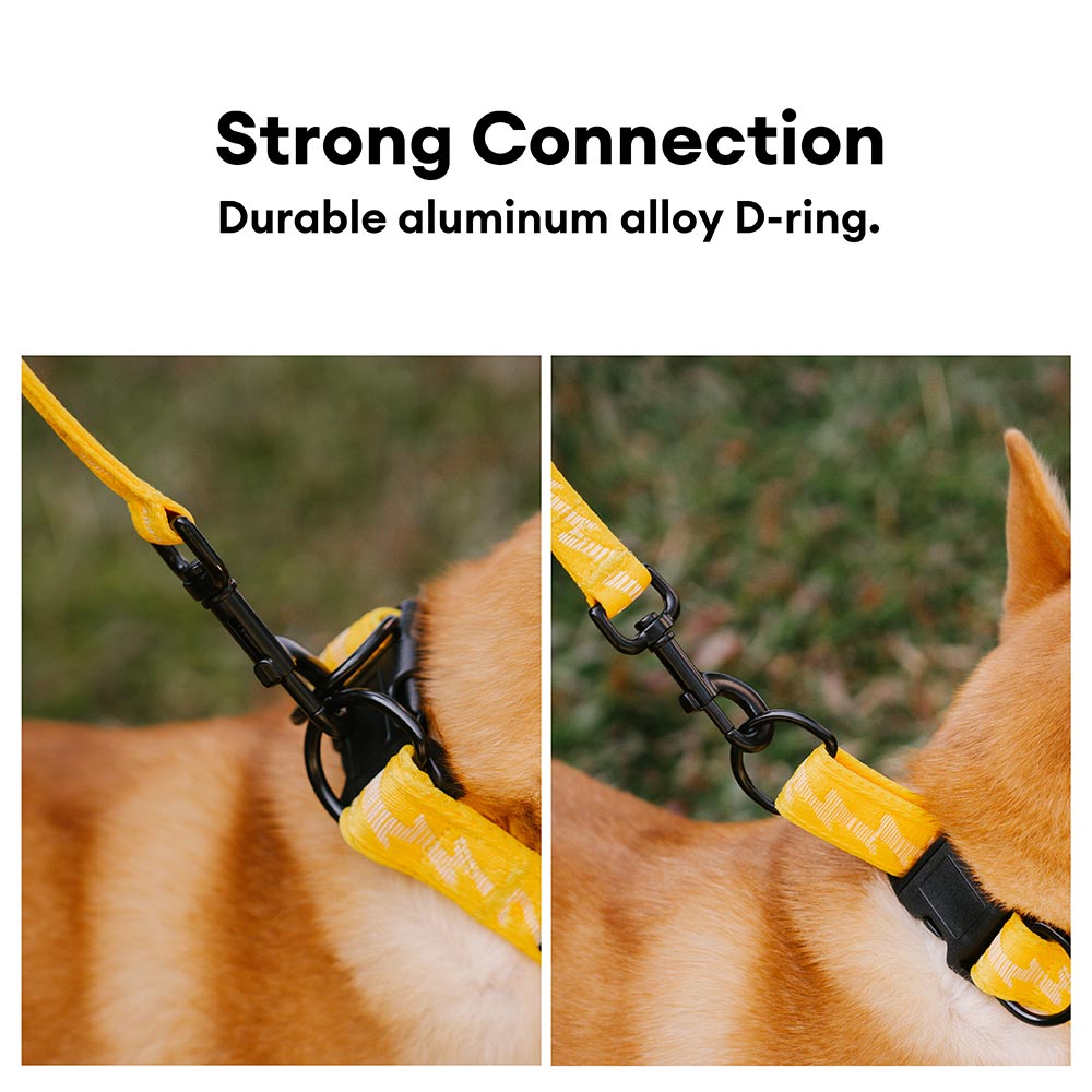 Green adjustable nylon reflective dog collar. Comfort & durability for walks.