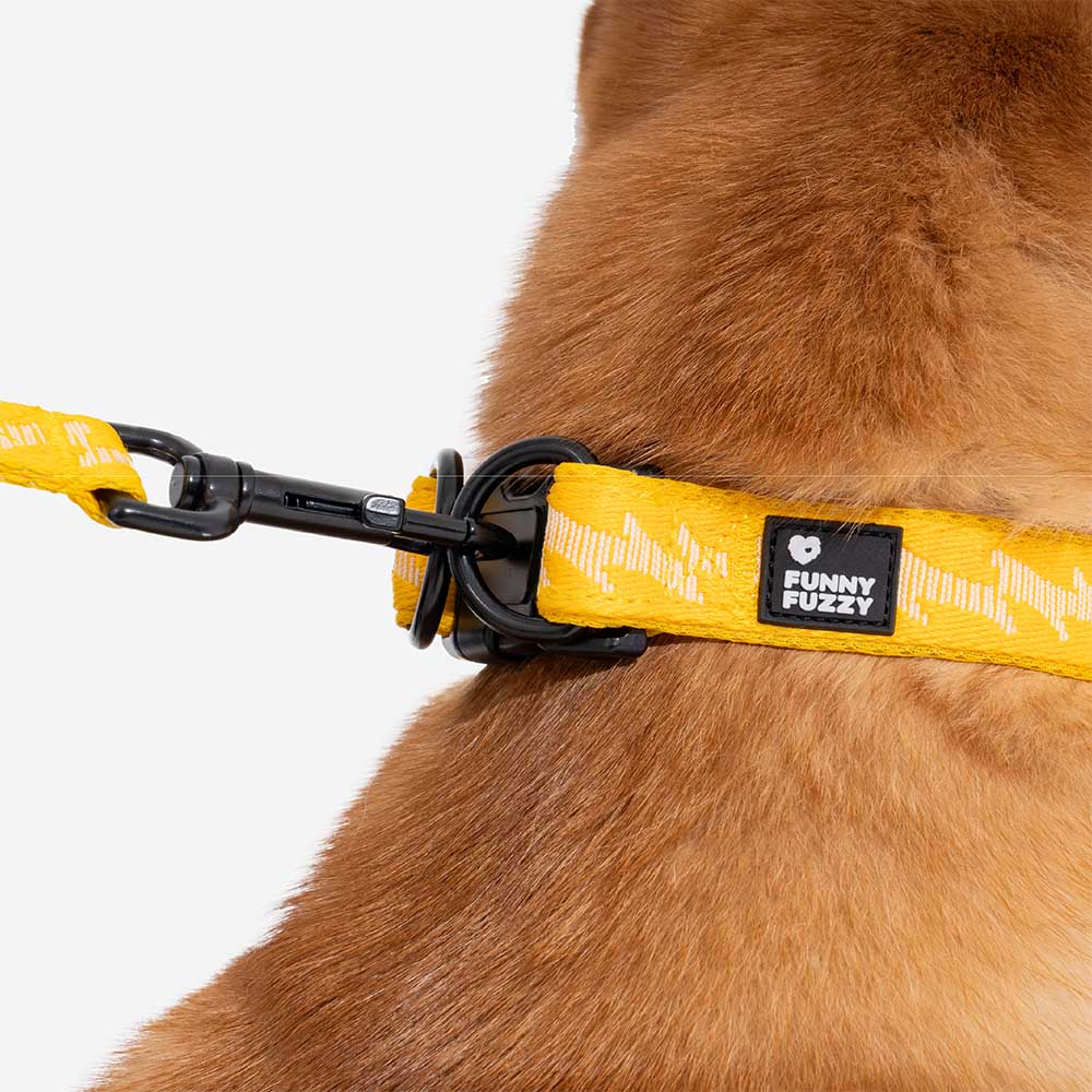 Detail of the durable buckle on an adjustable nylon reflective dog collar. Secure fit.