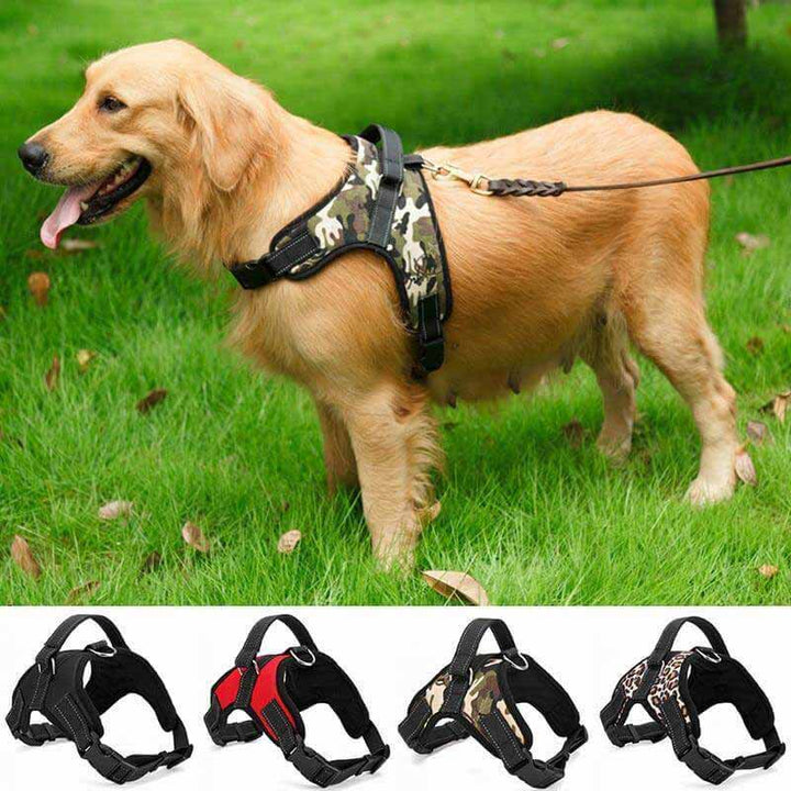 Green adjustable padded dog harness with reflective stitching for night visibility, suitable for pet supplies.