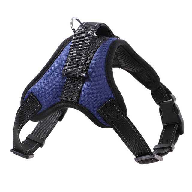 Large dog modeling a durable black adjustable padded harness with front and back leash attachments.