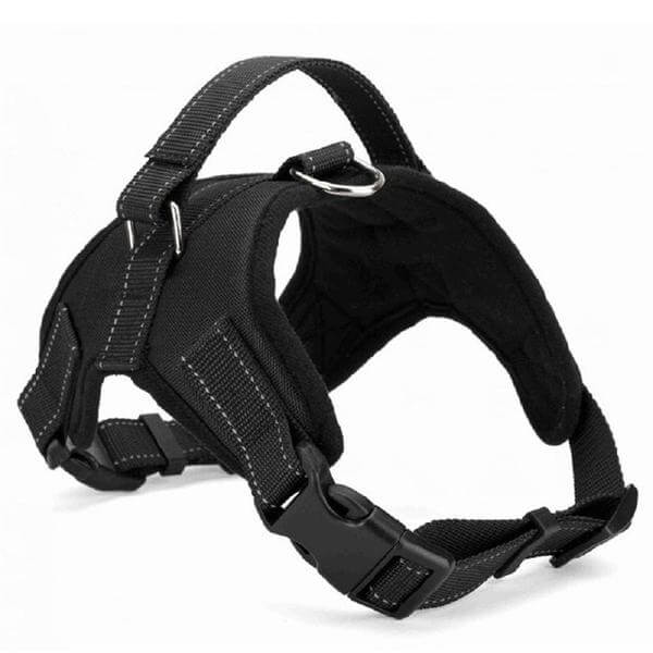 Set of three adjustable padded dog harnesses in blue, red, and green for various dog accessories.