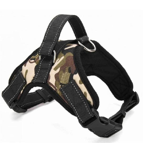 Ergonomic design of an adjustable padded dog harness, ensuring a secure and comfy fit for large dogs.