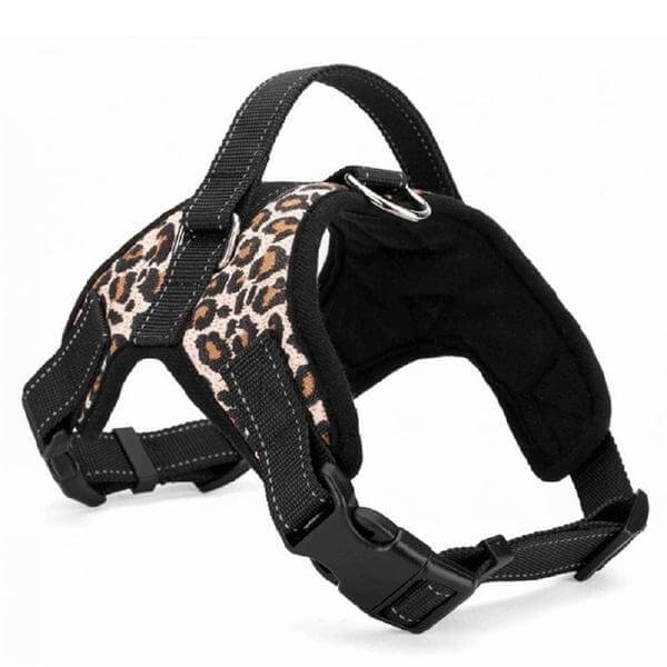 Quick-release buckle detail on a comfortable adjustable padded dog harness, essential pet supplies.