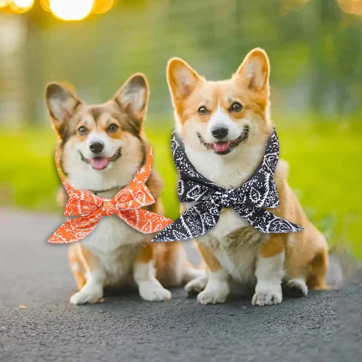 Close-up of blue adjustable pet cooling scarf, dog gear for summer heat, pet comfort accessory
