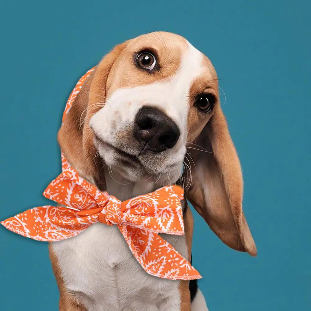 Pet wearing an adjustable cooling scarf, dog gear for hot weather, lightweight and comfortable pet accessory