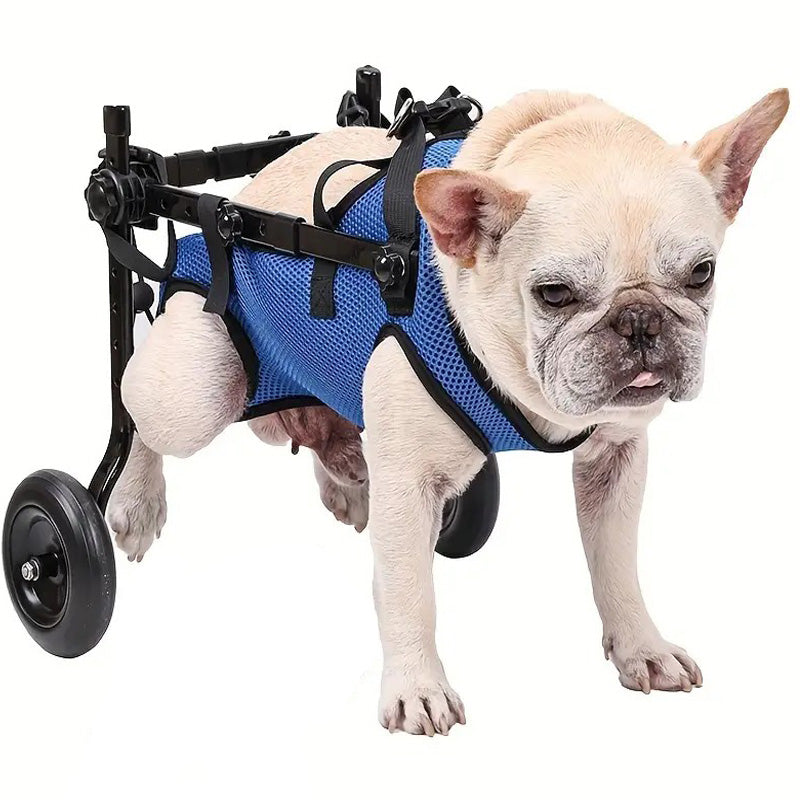 Adjustable pet mobility aid wheelchair for dogs, lightweight, designed for rehabilitation of disabled or injured dogs.