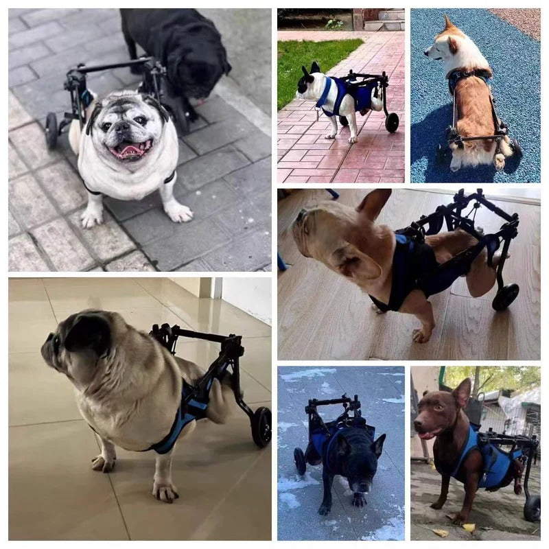 Pet supplies: Adjustable dog wheelchair, lightweight, designed to provide crucial mobility for disabled dogs.