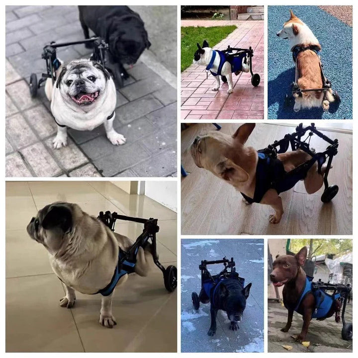 Pet supplies: Adjustable dog wheelchair, lightweight, designed to provide crucial mobility for disabled dogs.