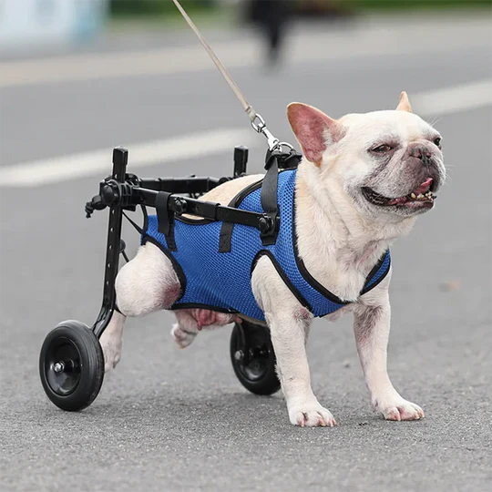 Pet mobility aid wheelchair for dogs, fully adjustable to support injured or disabled pets, enhancing their mobility.